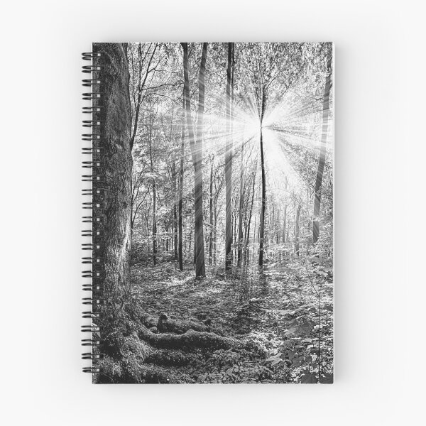 Item preview, Sun Shining Through Trees in Monochrome designed and sold by CoolHippoQuotes.