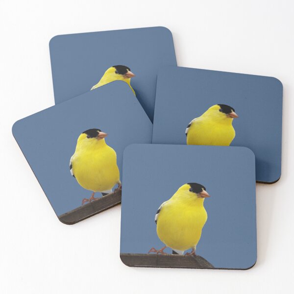 Item preview, Male American Goldfinch designed and sold by cherylorraine.