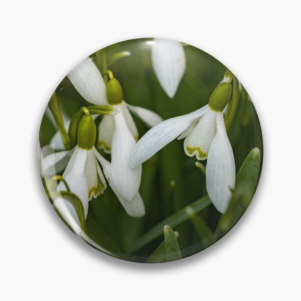 Item preview, Wild Snowdrops designed and sold by yackers1.