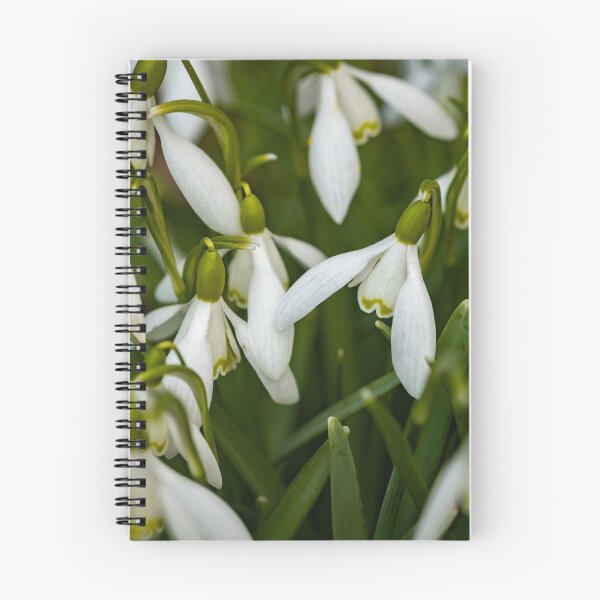 Item preview, Wild Snowdrops designed and sold by yackers1.