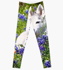 Siberian Husky in Spring Flowers Leggings