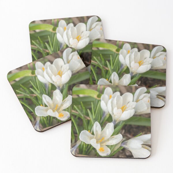 Artikelvorschau, Wild white crocus flowers entworfen und verkauft von yackers1.