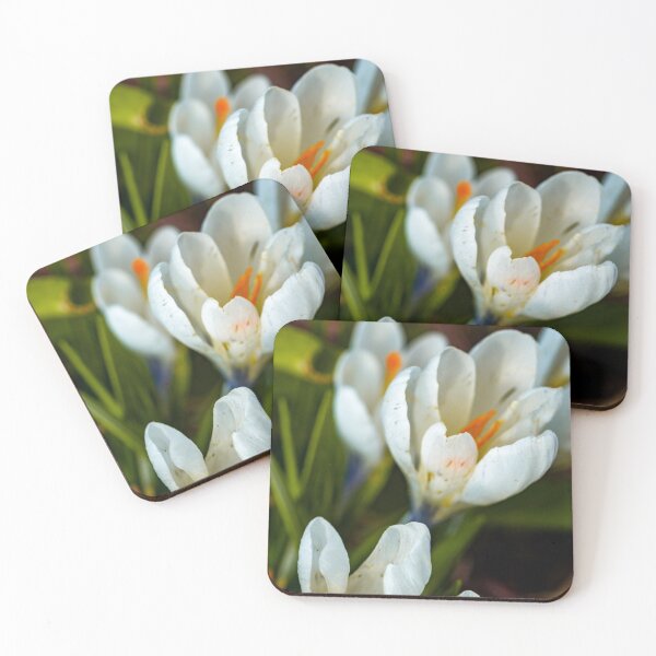 Artikelvorschau, Wild Crocus entworfen und verkauft von yackers1.