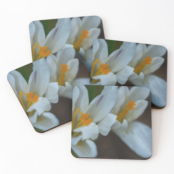 Artikelvorschau, A pair of wild crocus flowers entworfen und verkauft von yackers1.