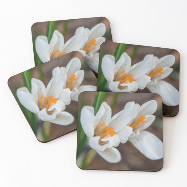 Artikelvorschau, Wild Crocus entworfen und verkauft von yackers1.