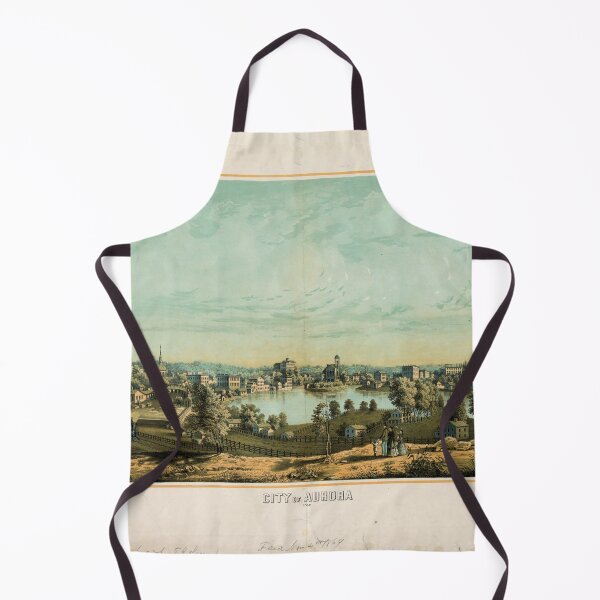 Item preview, Aurora. Illinois (1869) designed and sold by allhistory.