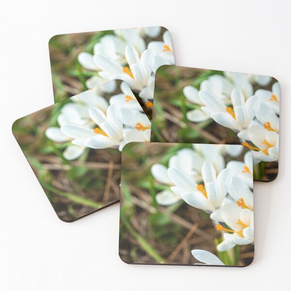 Artikelvorschau, Wild white crocus flowers in full bloom entworfen und verkauft von yackers1.