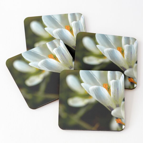 Artikelvorschau, White crocus flowers entworfen und verkauft von yackers1.
