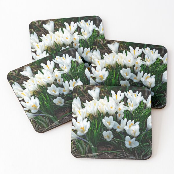 Artikelvorschau, Bunch of wild crocus flowers in full bloom entworfen und verkauft von yackers1.