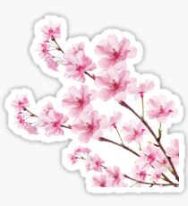 Sakura Cherry Blossom Sticker