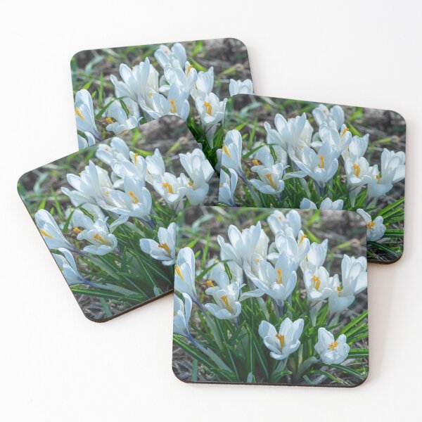 Artikelvorschau, Bunch of crocus flowers in full bloom entworfen und verkauft von yackers1.