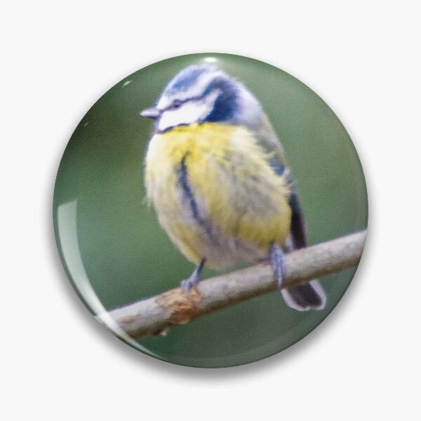 Item preview, Blue Tit designed and sold by kwn1804.