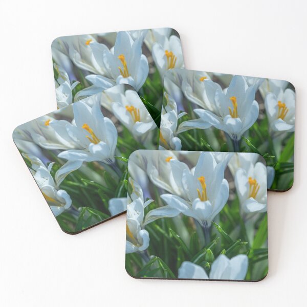 Artikelvorschau, Bunch of wild white crocus entworfen und verkauft von yackers1.