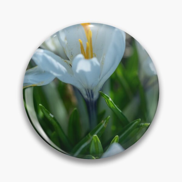 Item preview, Crocuses designed and sold by yackers1.
