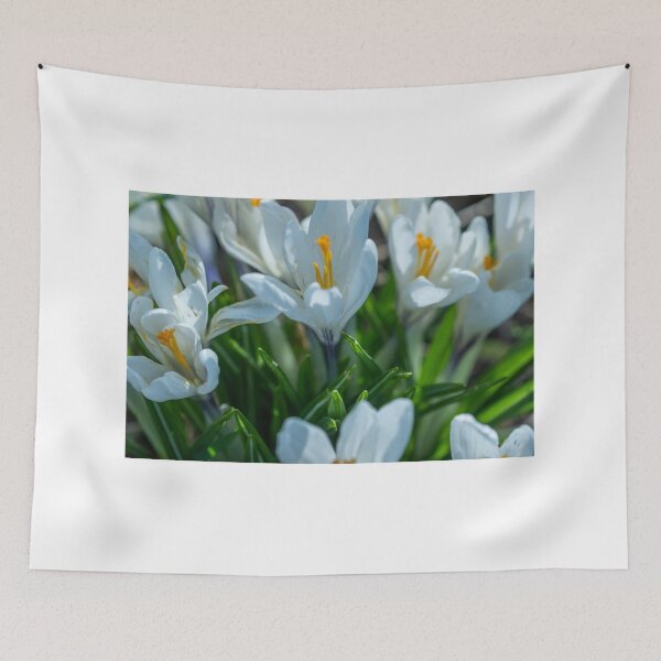 Item preview, Crocuses designed and sold by yackers1.