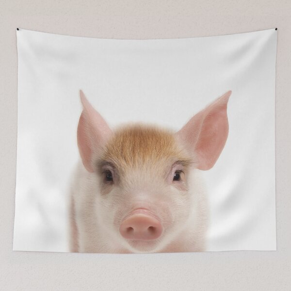 Artikelvorschau, Baby Pig Art Print von Zouzounio Art entworfen und verkauft von zouzounioart.
