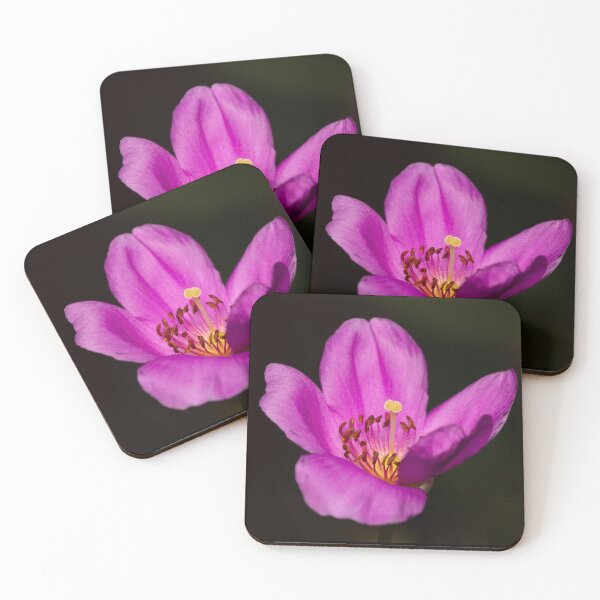 Item preview, Closeup of a small pink flower designed and sold by iktwo.
