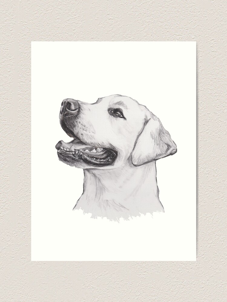 Labrador Kochschürze Skizze-Kunst-Retriever-Welpen Fester Digitaldruck 