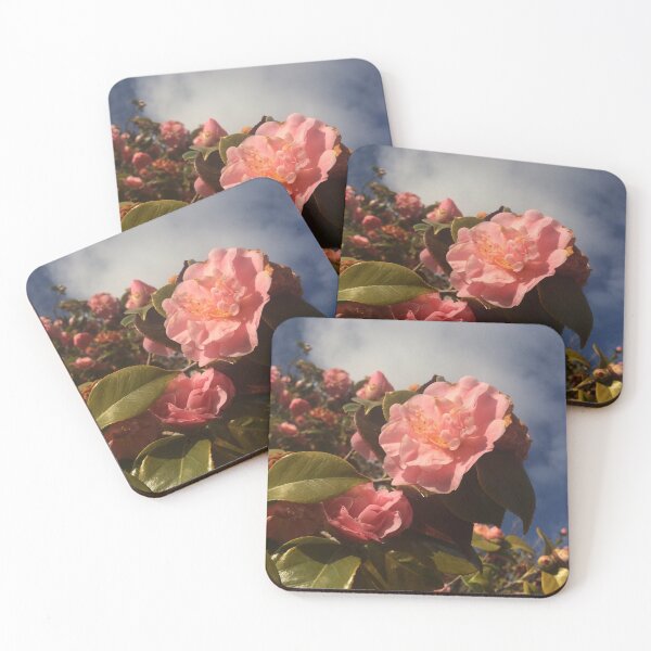 Item preview, Spring pink flower blue sky 2021 Saint Tropez, France #ilonabarnabiphotonews designed and sold by BIPHOTONEWS.