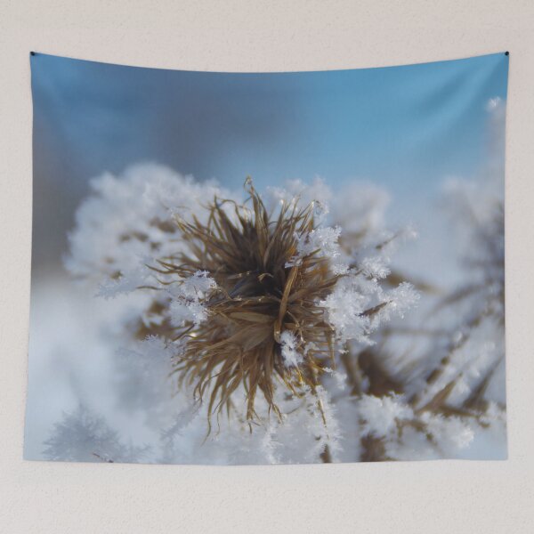 Item preview, Snow thistle in the morning sunlight designed and sold by Treemonk.
