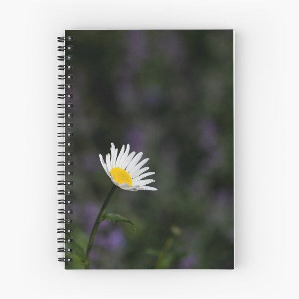 Item preview, giant daisy designed and sold by codaimages.