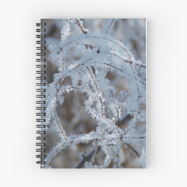 Item preview, Crystallized branches in the morning sunlight designed and sold by Treemonk.