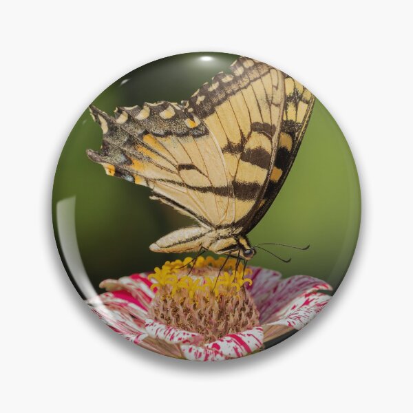 Item preview, Eastern Tiger Swallowtail 2016-2 designed and sold by Thomasyoung.