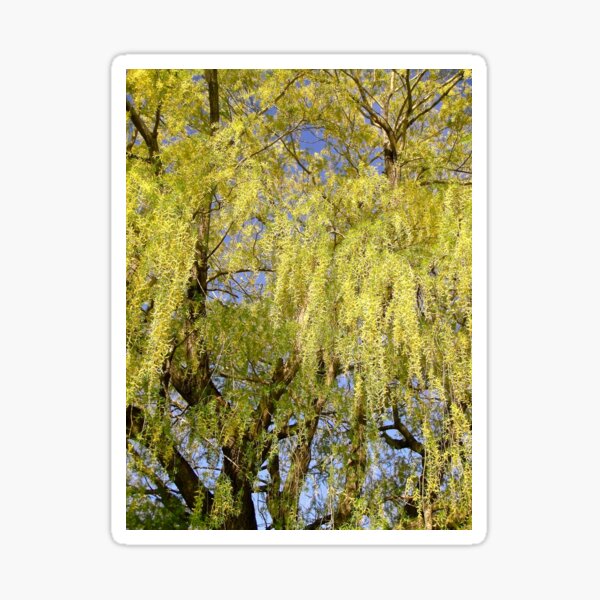 Item preview, Willow Tree designed and sold by Shulie1.