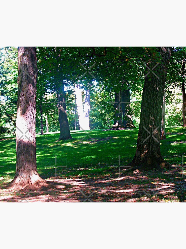 "Trees at Rideau Hall" Poster by Shulie1 Redbubble