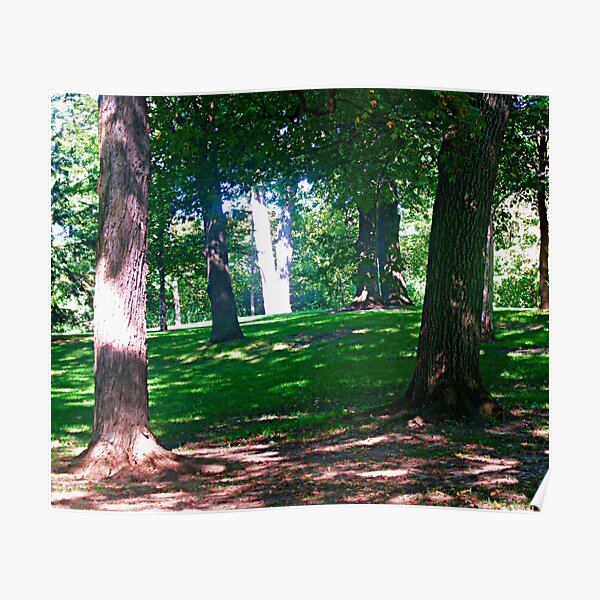 "Trees at Rideau Hall" Poster by Shulie1 Redbubble
