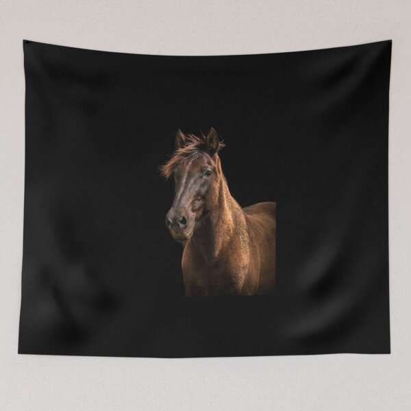 Item preview, Beautiful black Lusitano horse. designed and sold by AylaHarbich.