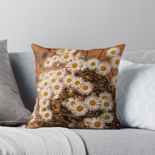 Item preview, Tidy Fleabane designed and sold by Daniel's Destinations.