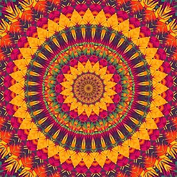 Artwork thumbnail, Mandala 012 by Mandala Of Life