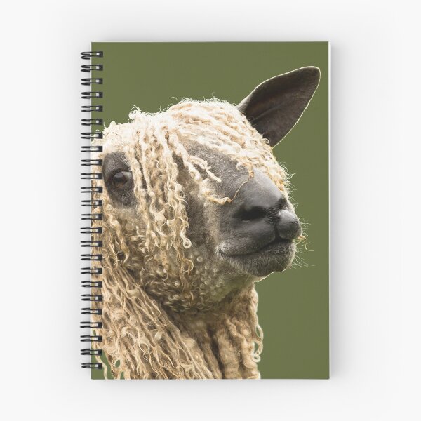 Item preview, Head and Shoulders - Wensleydale Sheep designed and sold by Jane Stanley Photography.