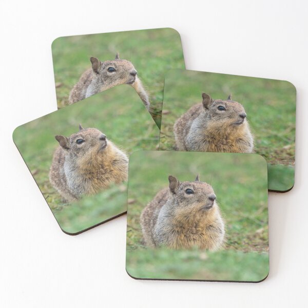 Item preview, Ground squirrel designed and sold by iktwo.