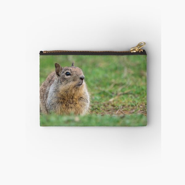 Item preview, Ground squirrel designed and sold by iktwo.