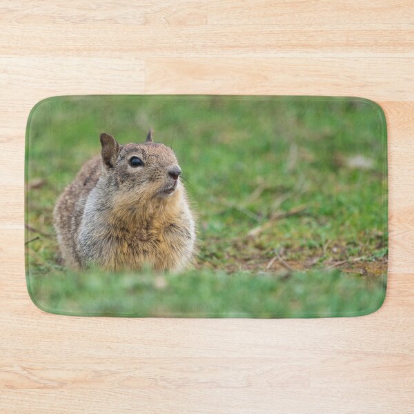 Item preview, Ground squirrel designed and sold by iktwo.