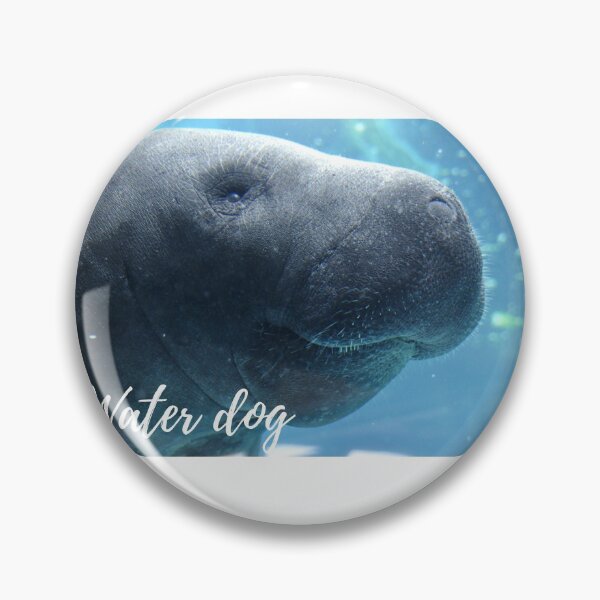 Item preview, Manatee's in Florida ! designed and sold by Byoudesigns.