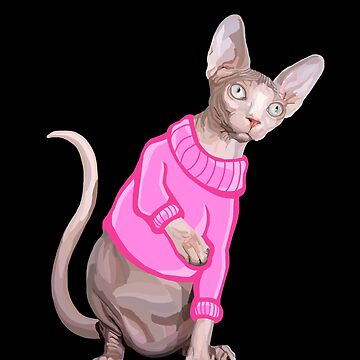 Cats Sweater | Hairless Cat In Sweater-Pink Simple Sweater