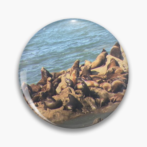 Item preview, Leones marinos al sol designed and sold by JennBBDesigns.