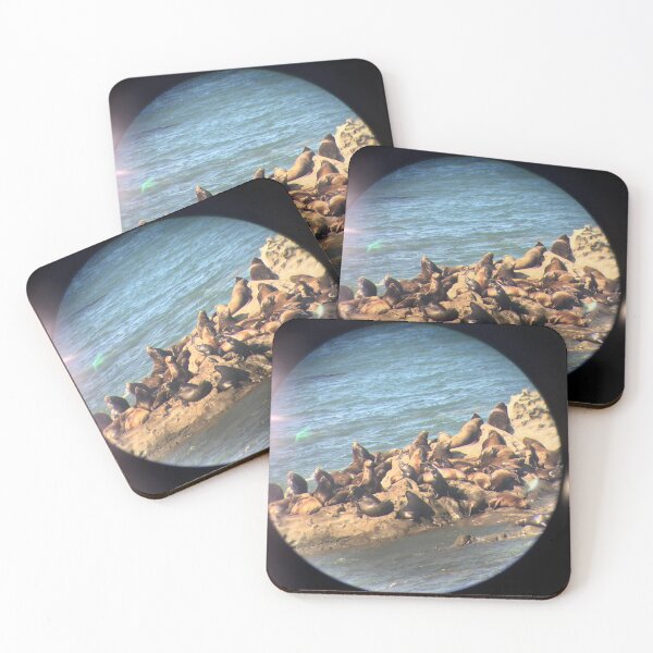 Item preview, Sea Lions in the Sun designed and sold by JennBBDesigns.