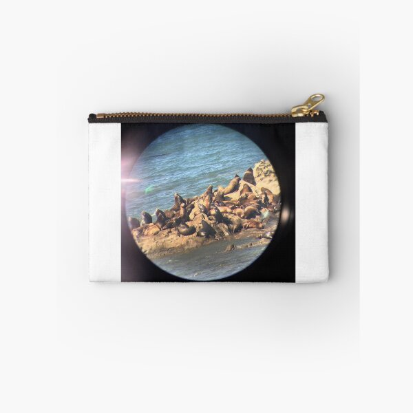 Item preview, Sea Lions in the Sun designed and sold by JennBBDesigns.