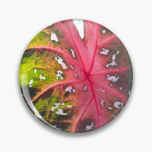 Item preview, Large red flashy Caladium designed and sold by KimhengFineArt.