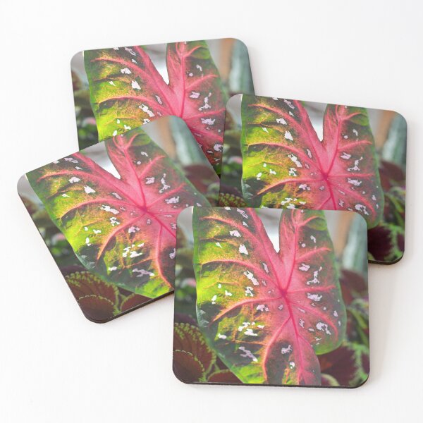Item preview, Large red flashy Caladium designed and sold by KimhengFineArt.