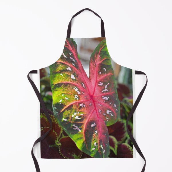 Item preview, Large red flashy Caladium designed and sold by KimhengFineArt.