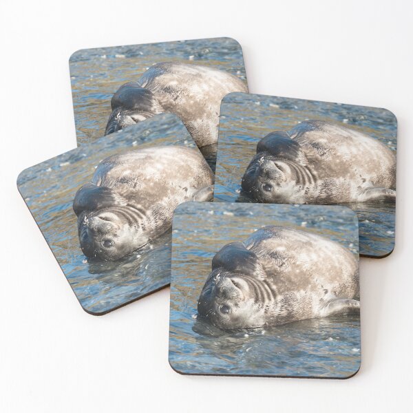 Item preview, Bath time at Gold Harbour designed and sold by Mark Prior.