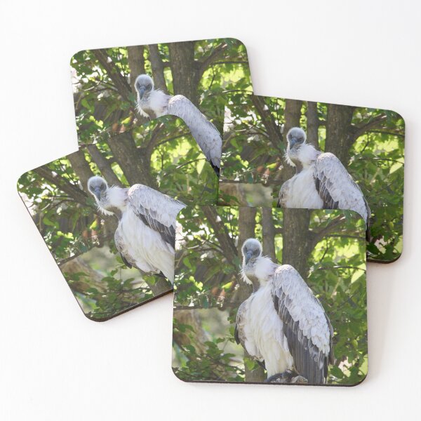 Item preview, African White-Backed Vulture designed and sold by KMDavidPhoto.