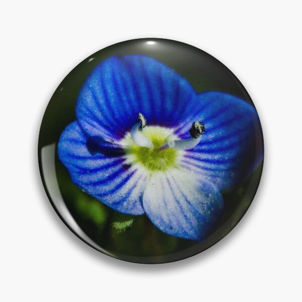 Item preview, birdeye speedwell designed and sold by Kitkatfoxx.