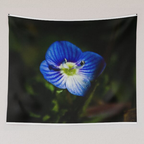 Item preview, birdeye speedwell designed and sold by Kitkatfoxx.