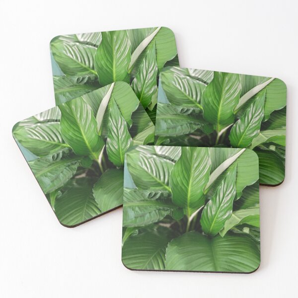 Item preview, peace lily plant designed and sold by DLAJOHN.